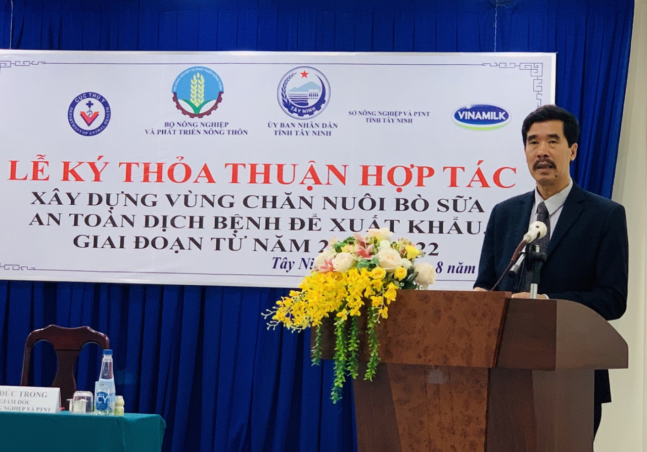 resort-bo-sua-tay-ninh-la-hat-nhan-de-xay-dung-vung-chan-nuoi-bo-sua-an-toan-dich-benh