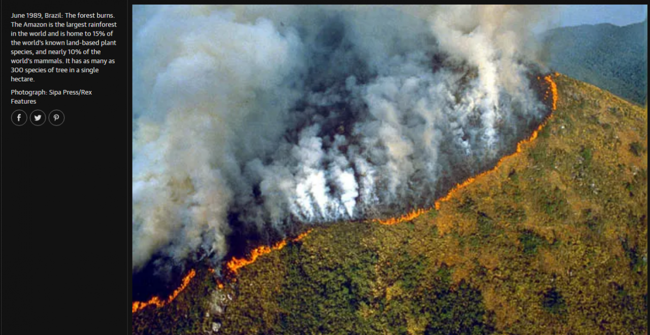 Bức ảnh được cho là về vụ cháy rừng Amazon hiện tại, nhưng The Guardian chú thích nó được chụp vào tháng 6/1989 và được The Guardian đăng lại năm 2007.