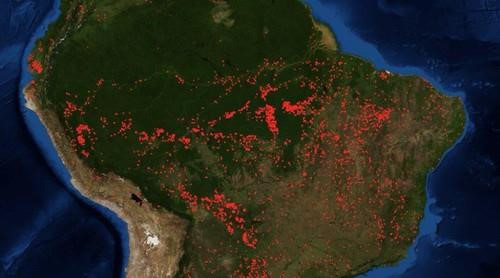 Cả thế giới đã hiểu sai về rừng Amazon?