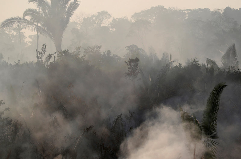 Hình ảnh cháy rừng Amazon 2019 ở Humaita, Brazil hôm 14/8.