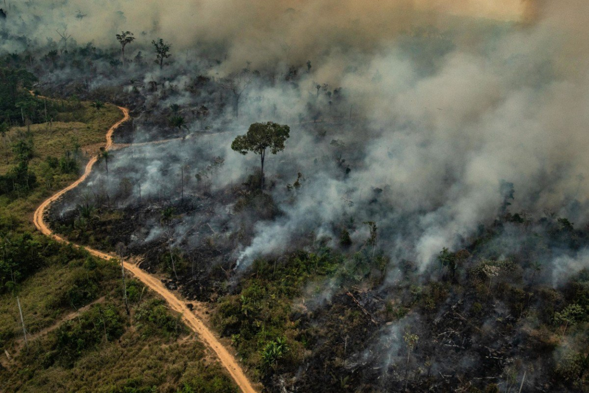 Nhiều chuyên gia khẳng định cháy rừng Amazon dữ dội hơn là do chiến tranh thương mại Mỹ - Trung.