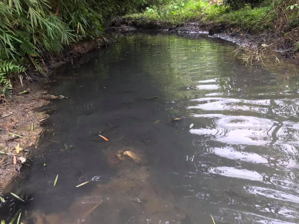 Hãi hùng với dòng suối ở gần nhà máy nước sạch sông Đà. (Ảnh: CTV).