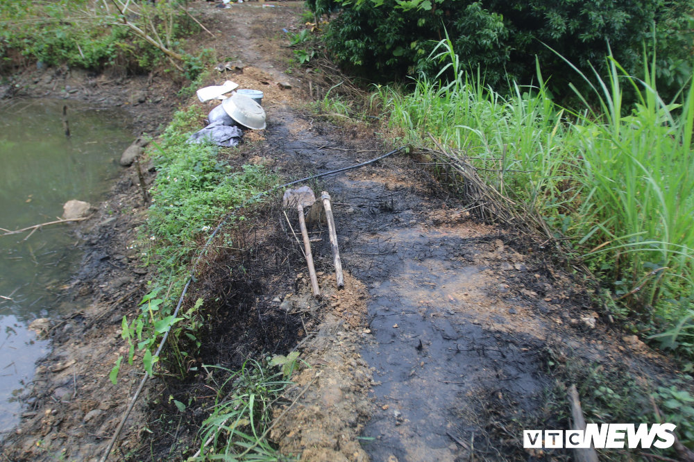Những vệt dầu loang nổ quanh đập tại con suối Khại dẫn nước cho nhà máy nước sạch sông Đà. (Ảnh: VTC).