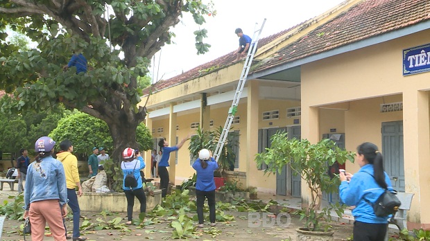 Đội thanh niên tình nguyện giúp dân phòng chống bão. (Ảnh: Báo Bình Định).