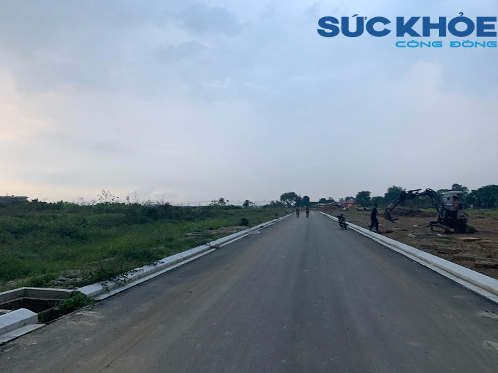 Cỏ mọc và sự nhếch nhác là những gì có thể thấy tại dự án Khu đô thị Trang Hạ.