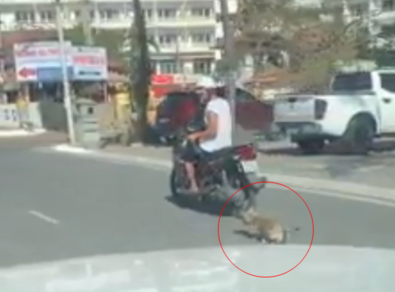 Hình ảnh nam thanh niên đi xe máy kéo lê chú chó trên đường. (Ảnh cắt từ clip).