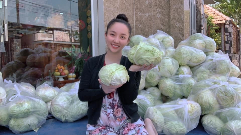 Vợ Lê Dương Bảo Lâm giải cứu 6 tấn bắp cải, phát miễn phí cho ai cần
