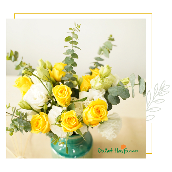 Dalat Hasfarm là thương hiệu hoa tươi hàng đầu tại Việt Nam, là nhà cung cấp hoa tươi lớn nhất Đông Nam Á.