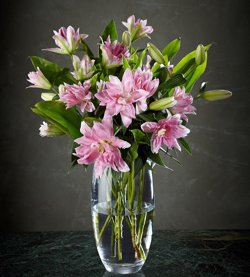 Hoa ly rất phù hợp để tặng thầy cô trong ngày 20/11 bởi nó có hương thơm và tượng trưng cho sự tinh khiết, thanh tịnh và cao thượng.