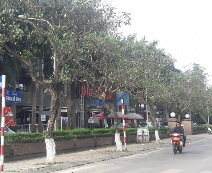 Hình ảnh tại đường Phan Kế Bính.
