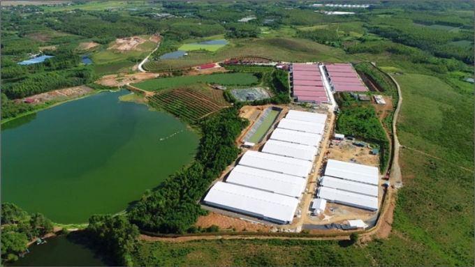 Toàn cảnh khu chăn nuôi của Công ty TNHH Lợn giống Dabaco Phú Thọ. (Ảnh: Dabaco).