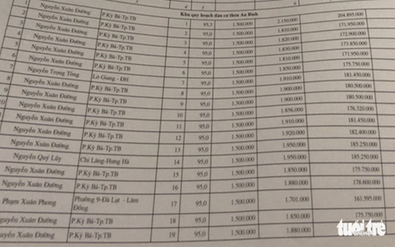 Đường Nhuệ đấu giá trúng 20 lô trong tổng số 24 lô đất tại buổi đấu giá ở huyện Đông Hưng, Thái Bình. (Ảnh: Tuổi Trẻ).