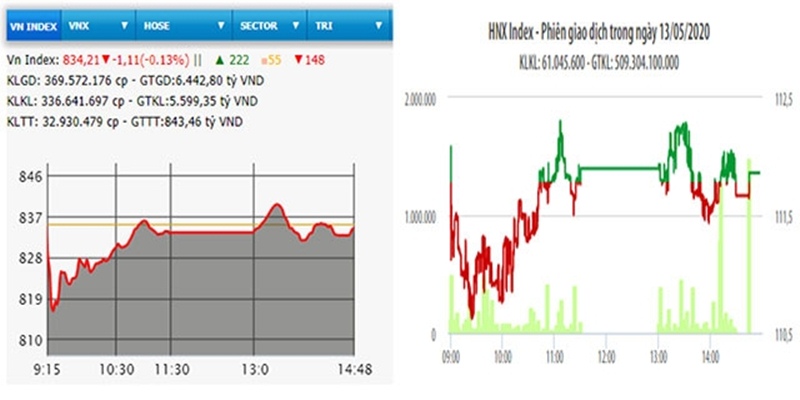 Thị trường chứng khoán chỉ số VN-Index và HNX-Index phiên giao dịch ngày 13/5.