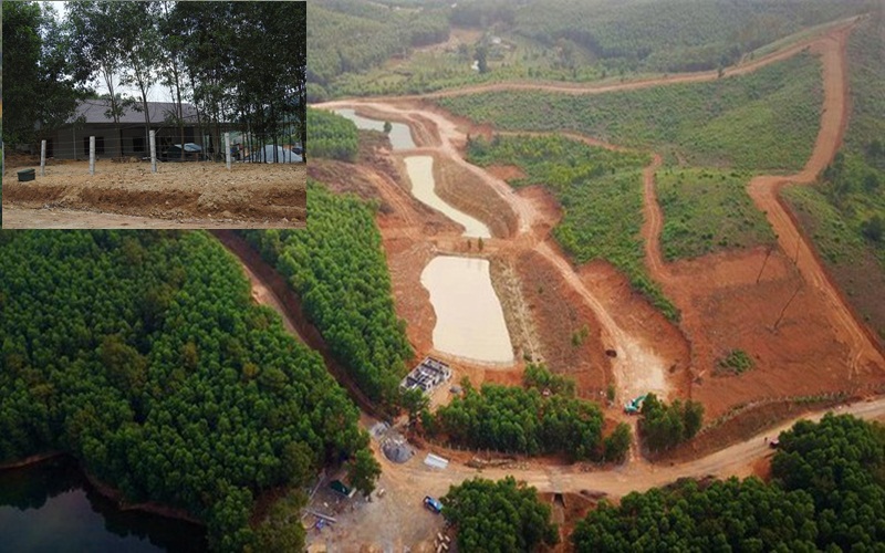 Chủ rừng Hà Tĩnh tự ý đào ao, xây dựng nhiều hạng mục khi chưa được cấp phép.