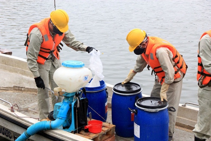 Công ty Thoát nước Hà Nội đã chi hàng trăm tỷ đồng mua chế phẩm Redoxy - 3C để xử lý ô nhiễm nước tại các ao, hồ trên địa bàn TP Hà Nội. (Ảnh: Dân Trí).