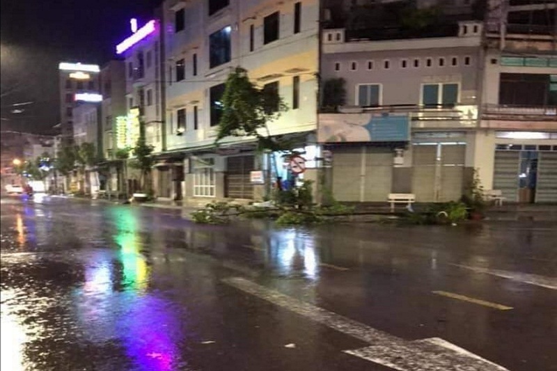 Miền Trung căng mình chống bão số 9: Đà Nẵng - Bình Định mưa to, gió lớn, nhiều cây xanh gãy đổ. (Ảnh: IT).