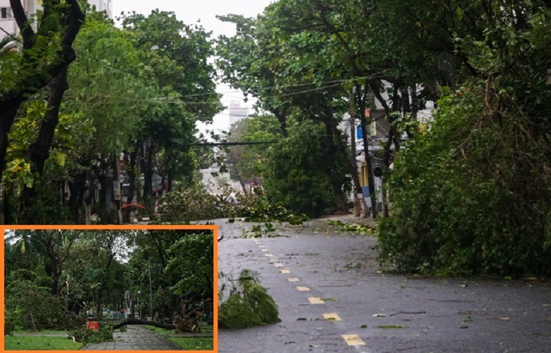 Bão số 9 mạnh chưa từng có khiến cây xanh khắp phố phường Đà Nẵng gãy đổ la liệt.