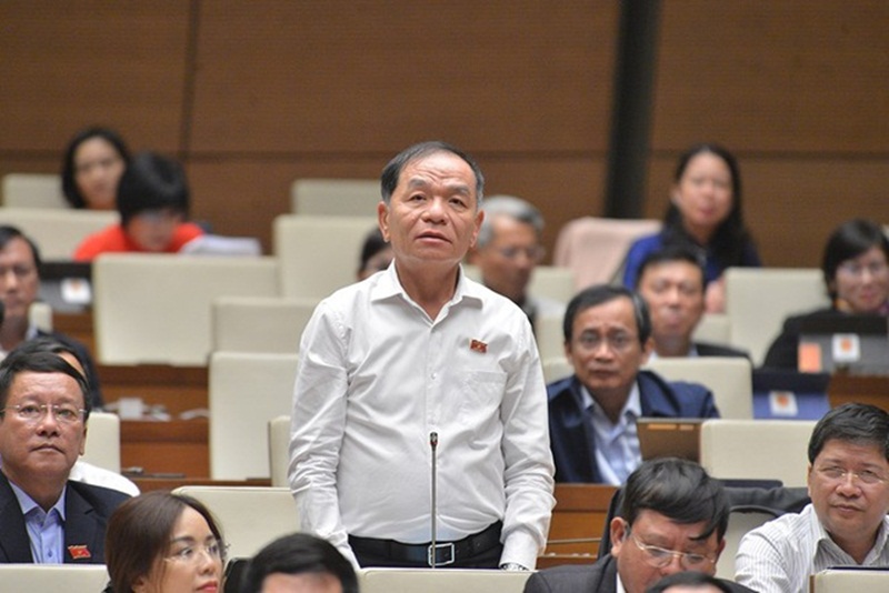Đại biểu Lê Thanh Vân khẳng định việc Tổng Liên đoàn Lao động cách chức ông Lê Vinh Danh là sai. (Ảnh: Quốc hội).