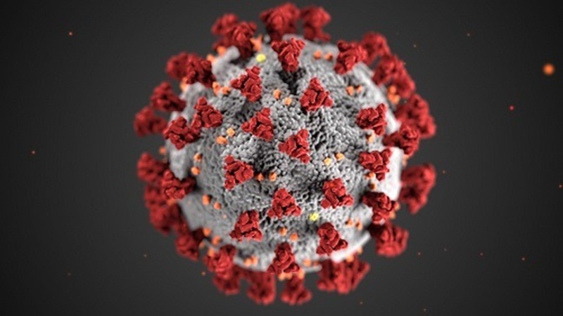 7. Virus thứ 7: Một loại virus Corona đã trở thành câu chuyện lớn nhất của năm 2020 khi nó gây ra đại dịch tàn khốc. SARS-CoV-2 là loại virus Corona thứ 7 được biết đến là lây nhiễm sang người.(Ảnh: Centers for Disease Control and Prevention).