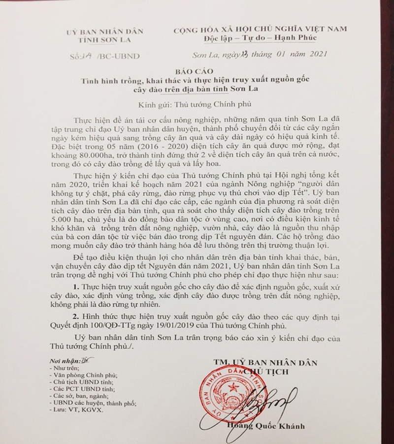 Văn bản của UBND tỉnh Sơn La gửi Thủ tướng về việc thực hiện truy xuất nguồn gốc cây đào.