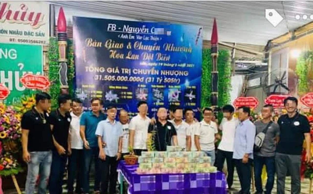 Hình ảnh về thương vụ mua bán lan đột biến trị giá hơn 31 tỷ đồng ở Đắk Lắk.