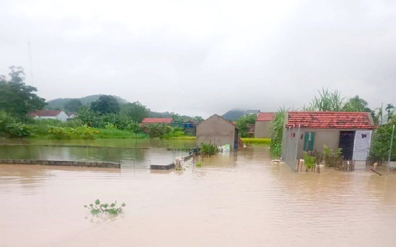 Nhiều làng mạc ở huyện Quỳnh Lưu chìm trong biển nước.