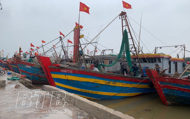 Thái Bình nghiêm cấm tàu thuyền ra khơi từ 9h ngày 9/10. (Ảnh: Báo Thái Bình).