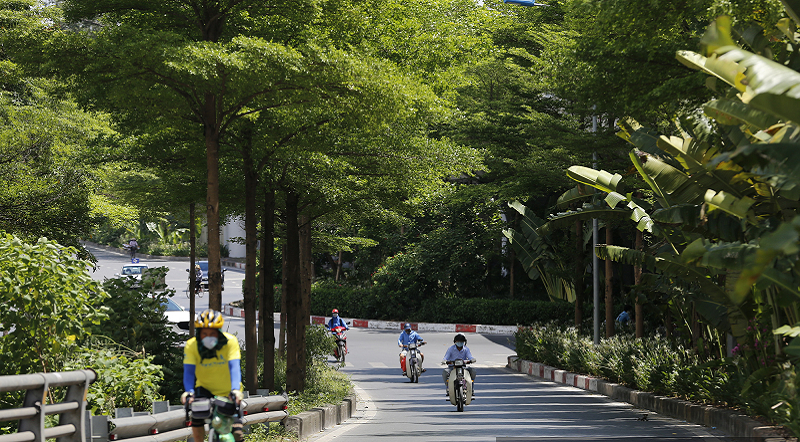 Cây xanh 4 mùa tỏa bóng mát trên đường phố Hà Nội khiến người dân yêu thêm những con đường, tuyến phố.