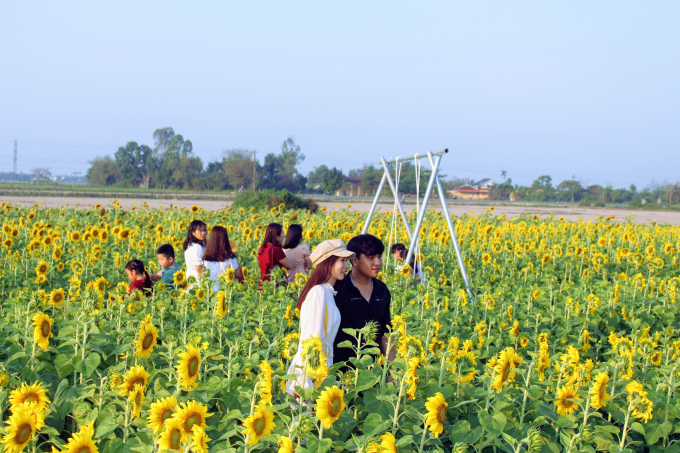 Rất đông khách tham quan, chụp ảnh.