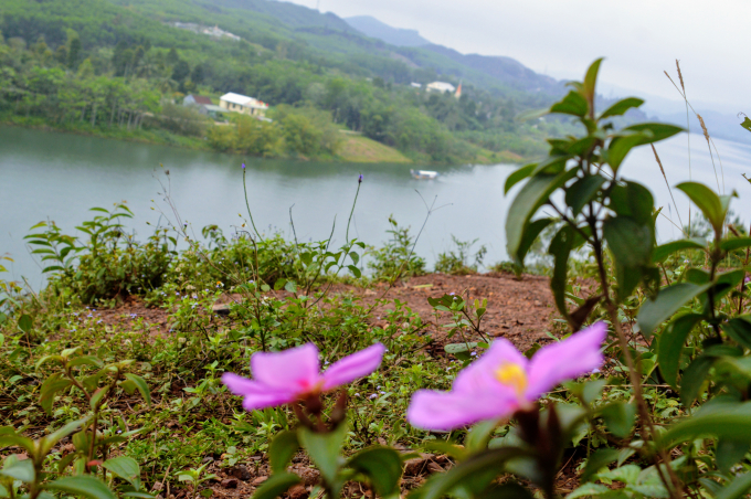 Nhiều người cho rằng, đây là nơi ngắm dòng sông Hương đẹp nhất từ trên cao.