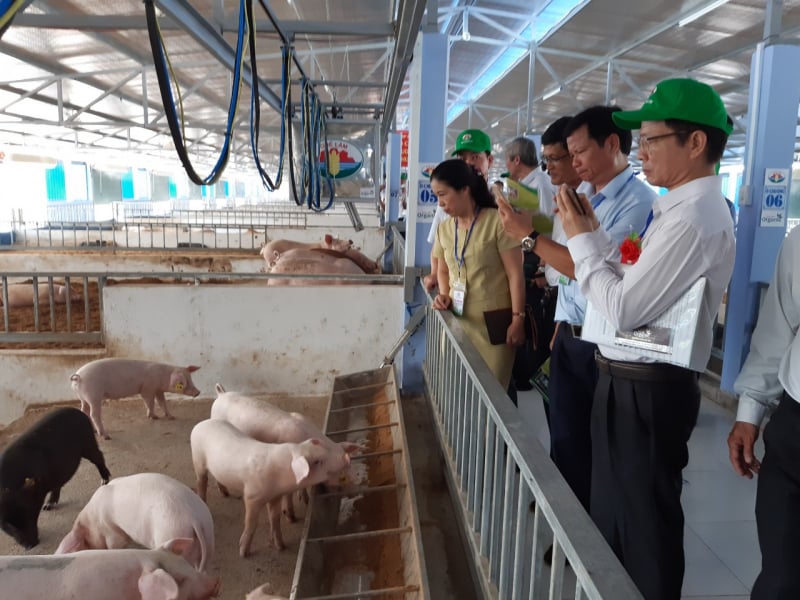Các đại biểu tham quan dự án 4F.