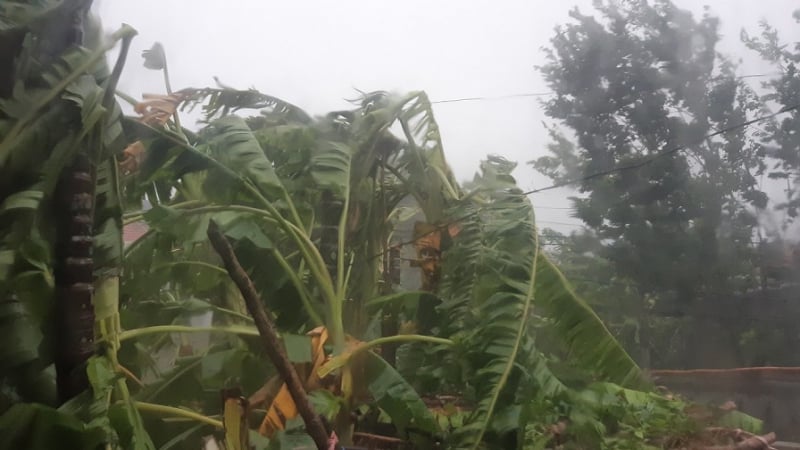 Theo ghi nhận của PV tại tỉnh Thừa Thiên Huế, cơn bão này đã gây ra mưa lớn cùng gió thổi mạnh trong hơn nửa giờ đồng hồ.