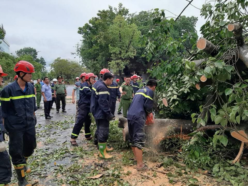 Lực lượng Công an Thừa Thiên Huế tiến hành cưa cây xanh.
