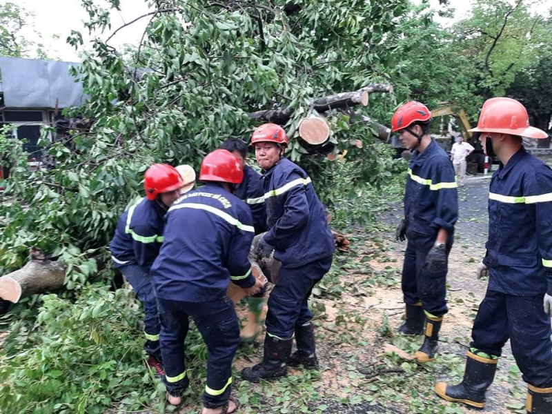 Theo Văn phòng Ban Chỉ huy PCTT và TKCN tỉnh Thừa Thiên Huế, có một người chết do cây đổ tại xã Phong Thu (huyện Phong Điền).