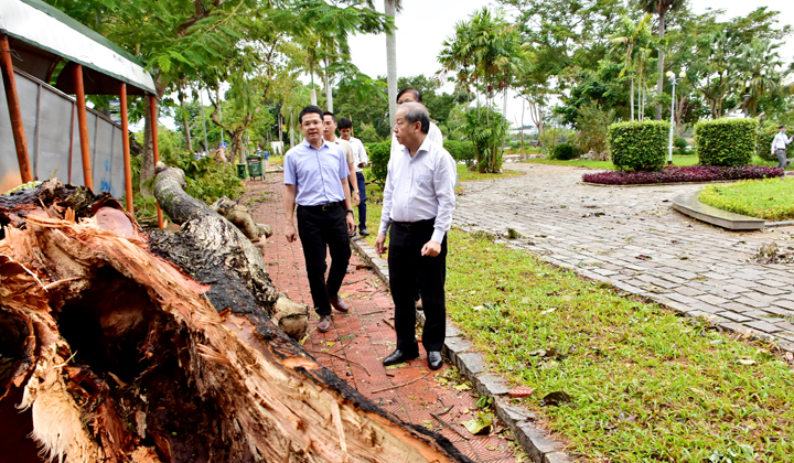 Chủ tịch UBND tỉnh Thừa Thiên Huế yêu cầu sớm thu dọn những cây xanh bị bật gốc.