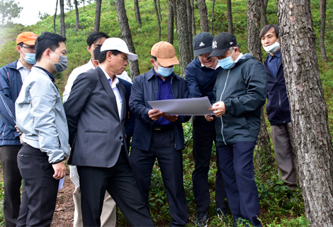 Chủ tịch UBND tỉnh Thừa Thiên Huế cùng đoàn công tác khảo sát thực địa khu vực núi Ngự Bình.