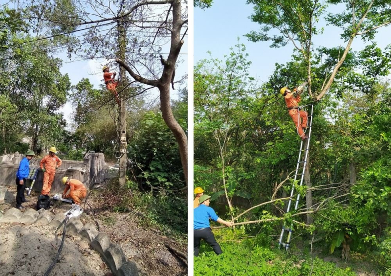 Thay mới hệ thống đo đếm, thay thế và phát quan tuyến đường dây sau công tơ cấp điện cho Trung tâm Bảo trợ trẻ em An Tây.