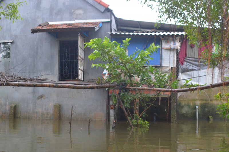 Cạnh thôn Xuân Tùy, một số ngôi làng khác cũng bị ngập lụt vài ngày qua...