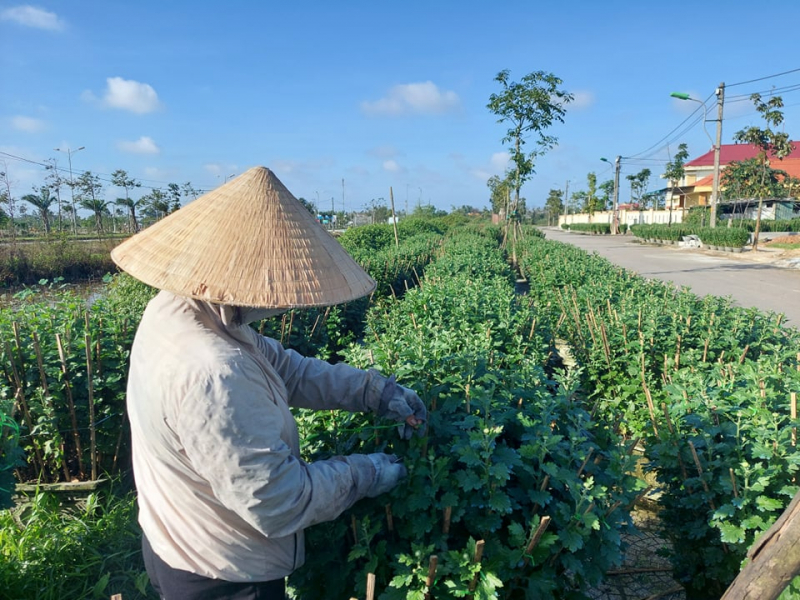 Mức lương dao động khoảng 20.000 đồng/h.