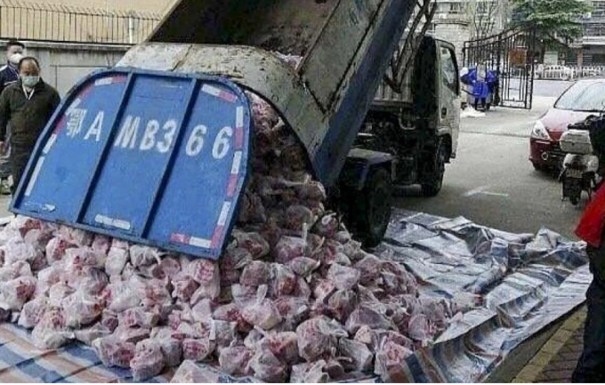 Thịt cung cấp cho người dân cách ly ở Vũ Hán bị chở bằng xe rác hôm 11/3.