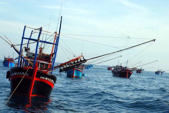 Đội tàu cá đánh bắt xa bờ của ngư dân Quảng Ngãi ở ngư trường các quần đảo Hoàng Sa, Trường Sa của Việt Nam. Ảnh: Tuổi Trẻ