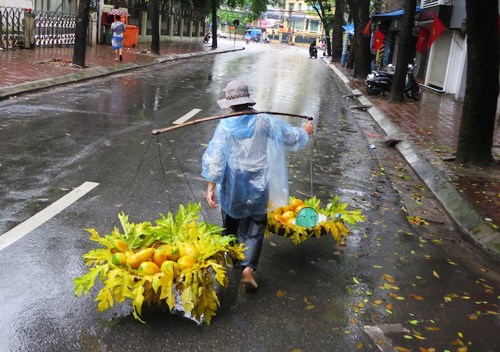 Dự báo thời tiết 10 ngày tới (1-10/3): Hà Nội sắp hết những ngày nắng, đón mưa rào