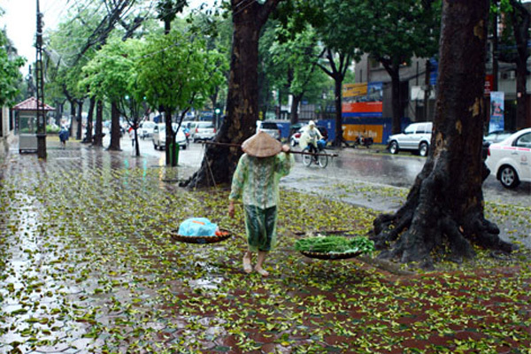 Dự báo thời tiết ngày mai 10/9: Hà Nội có lúc mưa rào; khả năng có lốc, sét, gió giật mạnh. Ảnh minh họa