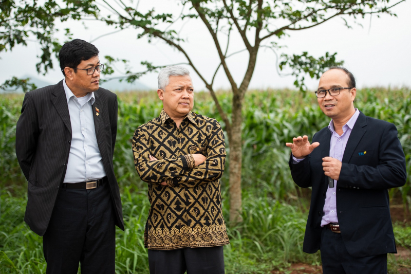 Các đại sứ thăm quan cánh đồng nguyên liệu của Tập đoàn TH tại Nghĩa Đàn, Nghệ An.