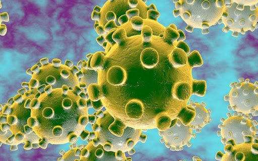 Phát hiện biến chủng mới của virus SARS-CoV-2 tại Nhật Bản