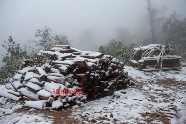 Tuyết bắt đầu rơi từ chiều ngày 24/1 ở nhiều xã miền núi Nghệ An.