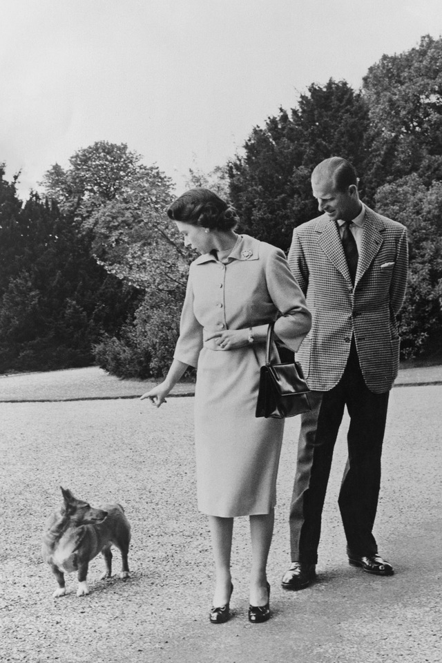  1959: Cặp đôi dắt chó đi dạo.