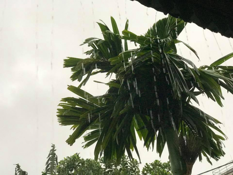 Khẩn cấp: Áp thấp nhiệt đới gây mưa lớn ở nhiều tỉnh miền Trung