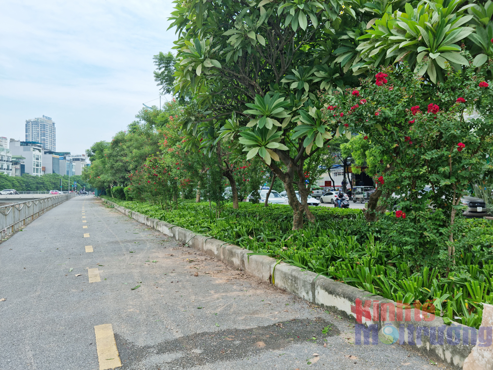  Tuyến đường đi xe đạp, đi bộ dọc sông Tô Lịch được Sở Giao thông Vận tải đầu tư xây dựng đưa vào hoạt động từ năm 2019.