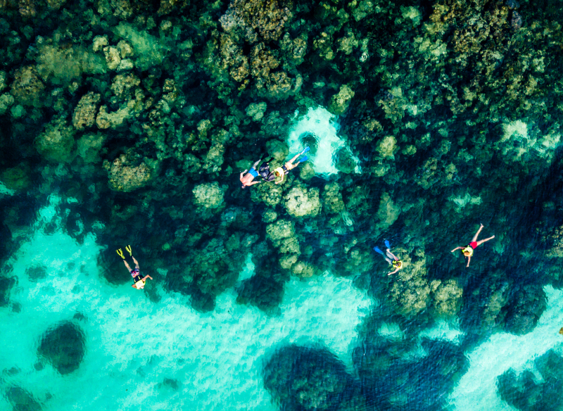 Du lịch Phú Quốc nên có hoạt động lặn ngắm san hô.